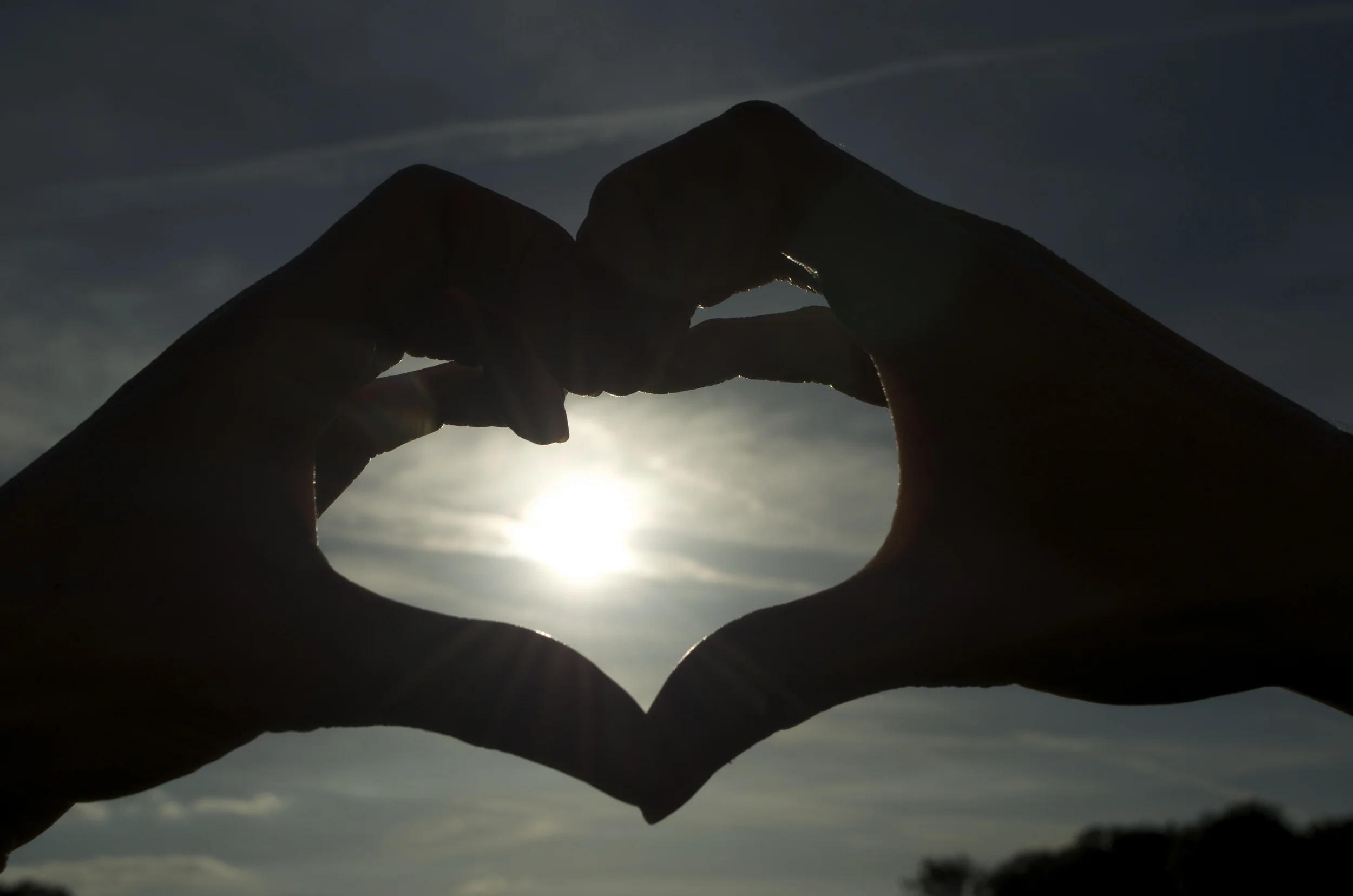 Sunlight forming a heart through leaves