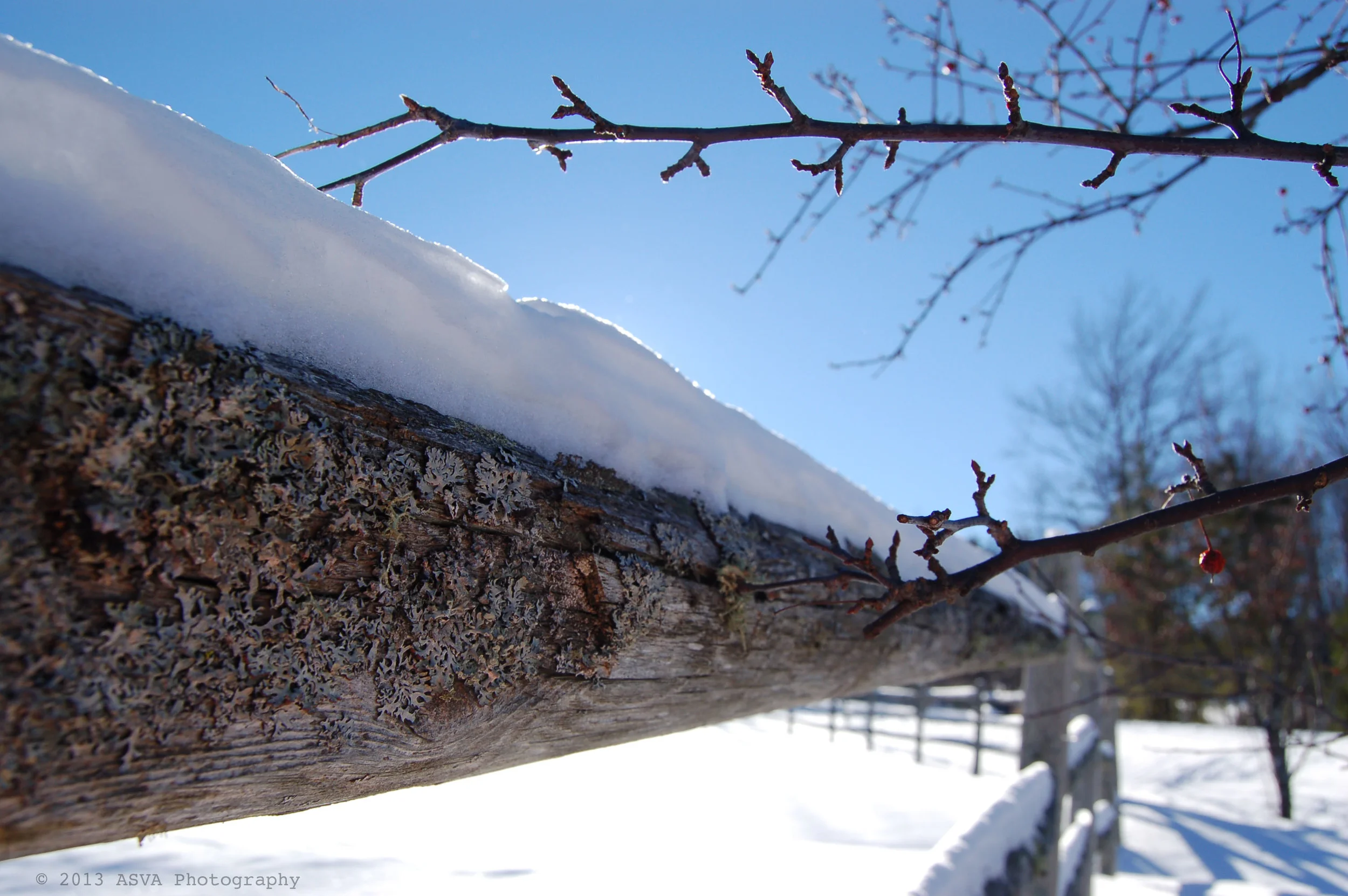 Fence fading into the distance