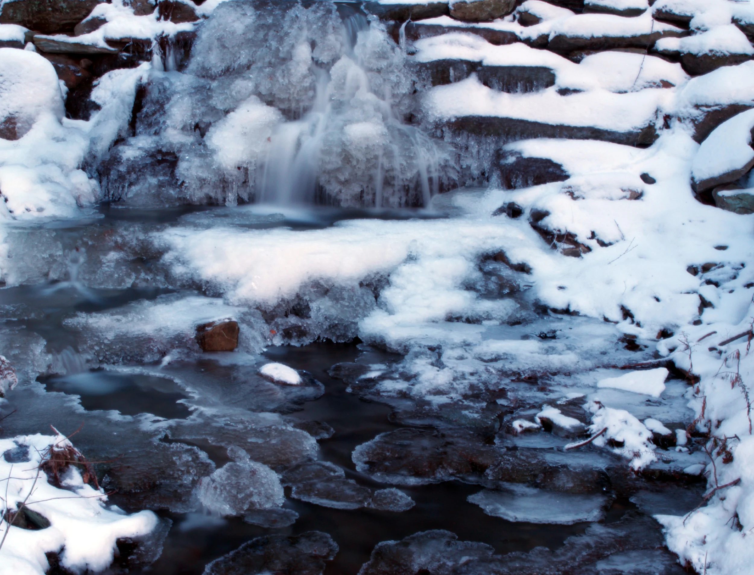 Winter